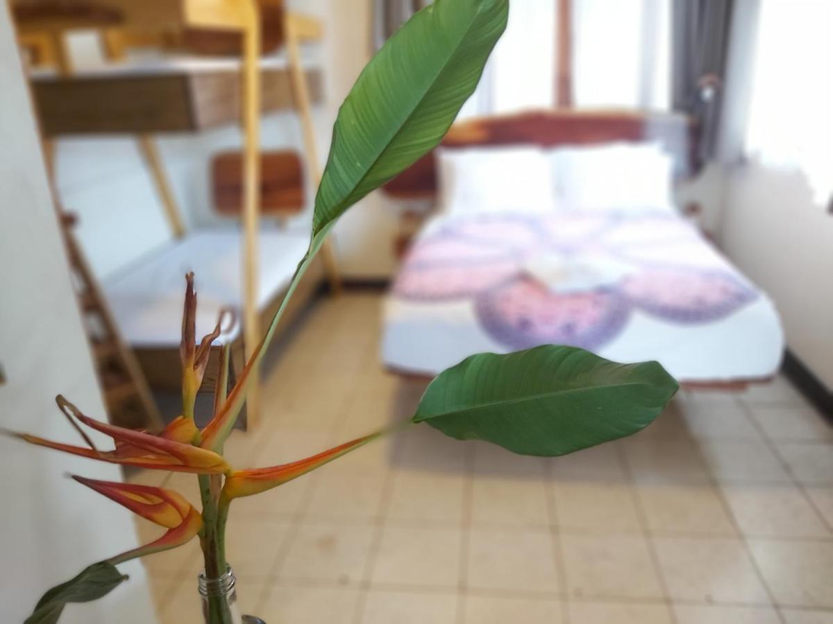 Casa Benjamin Linder Hotell Managua Exteriör bild